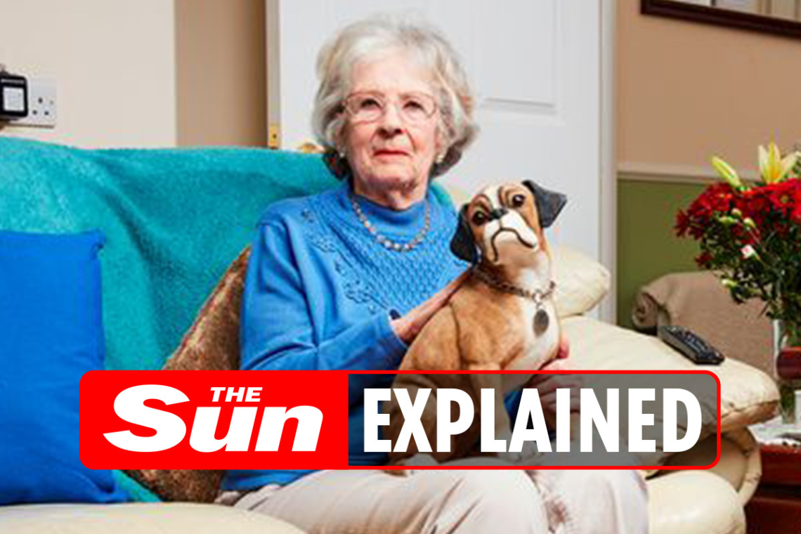 Mary Cook and Her Impact on Gogglebox