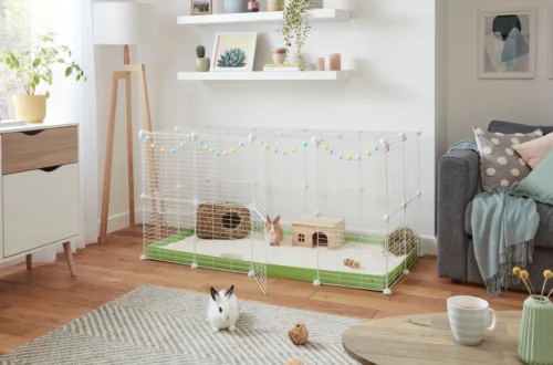 Indoor Rabbit Hutch